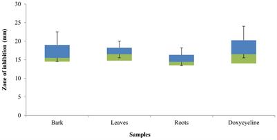 Elucidating Therapeutic and Biological Potential of Berberis baluchistanica Ahrendt Bark, Leaf, and Root Extracts